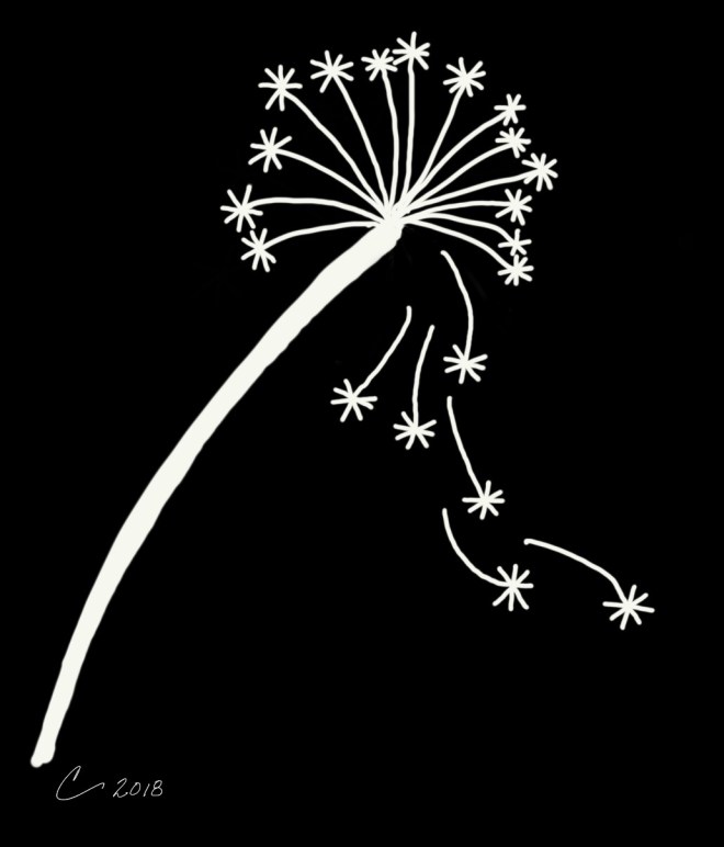 White line drawing of a dandelion on a black background